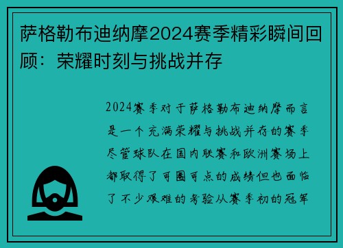萨格勒布迪纳摩2024赛季精彩瞬间回顾：荣耀时刻与挑战并存