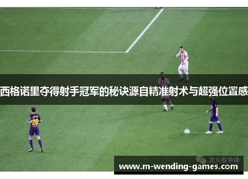 西格诺里夺得射手冠军的秘诀源自精准射术与超强位置感